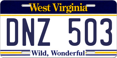 WV license plate DNZ503