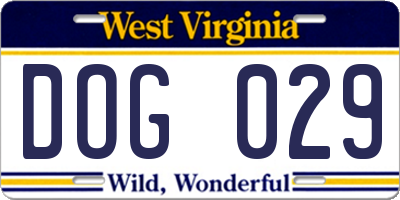 WV license plate DOG029