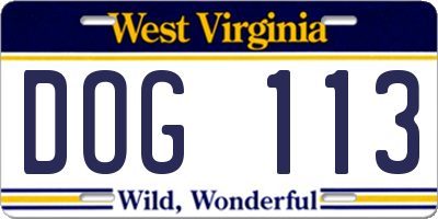 WV license plate DOG113