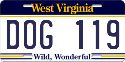 WV license plate DOG119