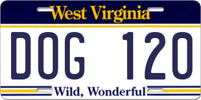 WV license plate DOG120