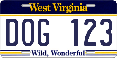 WV license plate DOG123