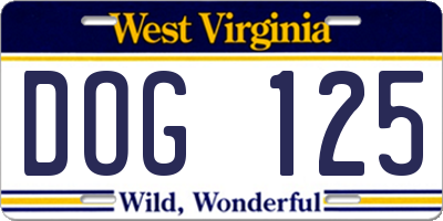WV license plate DOG125