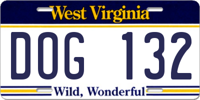 WV license plate DOG132