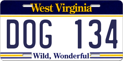 WV license plate DOG134