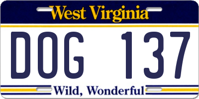 WV license plate DOG137