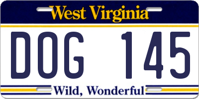 WV license plate DOG145