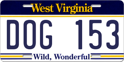 WV license plate DOG153