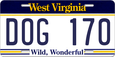 WV license plate DOG170