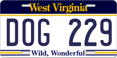WV license plate DOG229