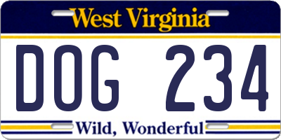 WV license plate DOG234