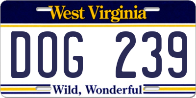 WV license plate DOG239