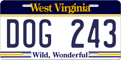 WV license plate DOG243