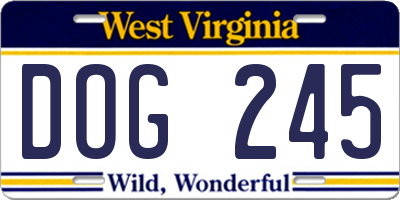 WV license plate DOG245