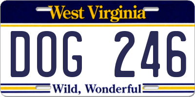 WV license plate DOG246