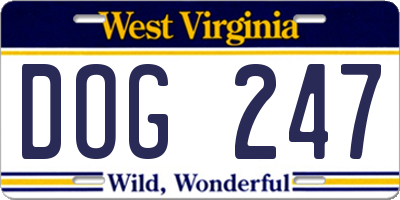 WV license plate DOG247