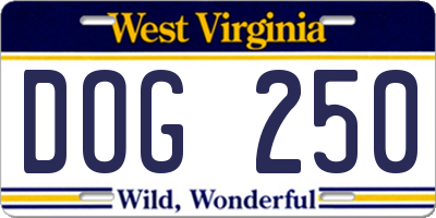 WV license plate DOG250