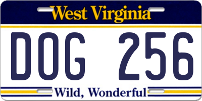 WV license plate DOG256