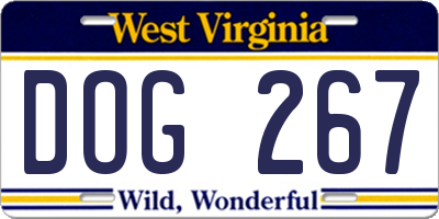 WV license plate DOG267
