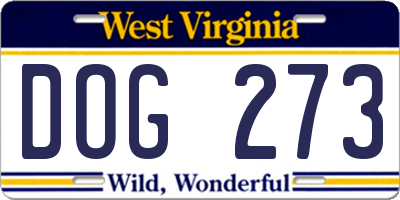 WV license plate DOG273