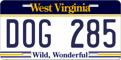 WV license plate DOG285