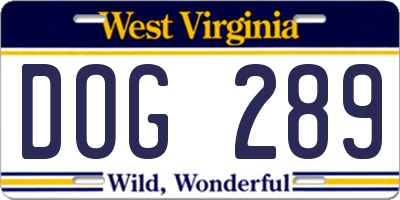 WV license plate DOG289