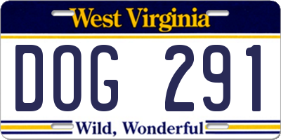 WV license plate DOG291