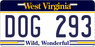 WV license plate DOG293