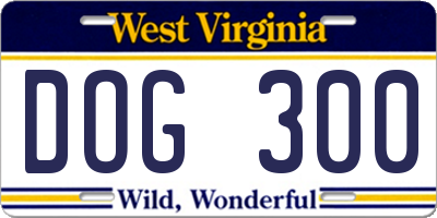 WV license plate DOG300