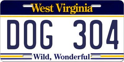 WV license plate DOG304