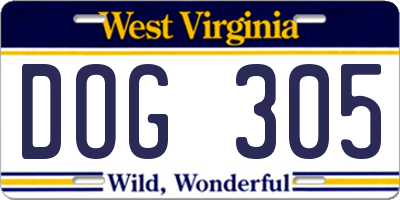 WV license plate DOG305