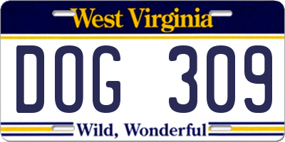 WV license plate DOG309