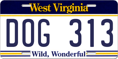 WV license plate DOG313