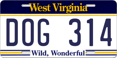 WV license plate DOG314