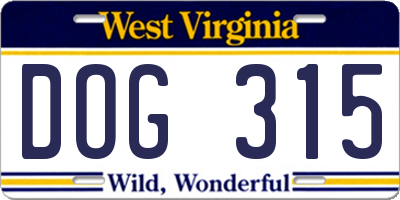 WV license plate DOG315