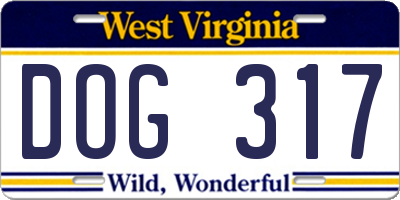 WV license plate DOG317