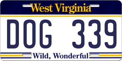 WV license plate DOG339
