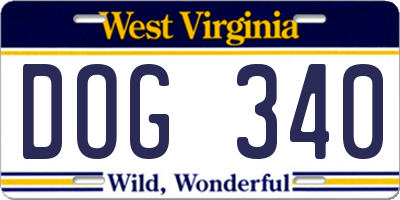 WV license plate DOG340