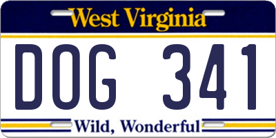 WV license plate DOG341