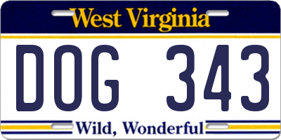 WV license plate DOG343
