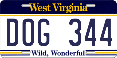 WV license plate DOG344
