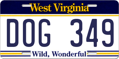 WV license plate DOG349