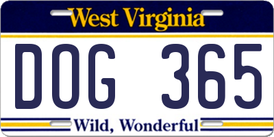 WV license plate DOG365