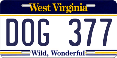 WV license plate DOG377