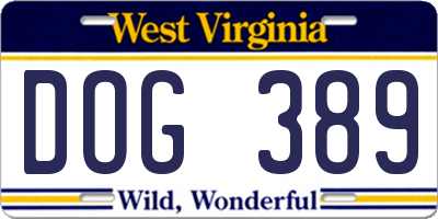 WV license plate DOG389