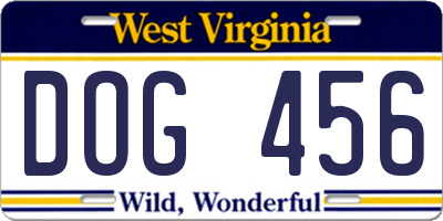WV license plate DOG456