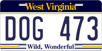 WV license plate DOG473