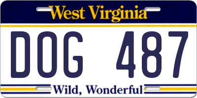 WV license plate DOG487