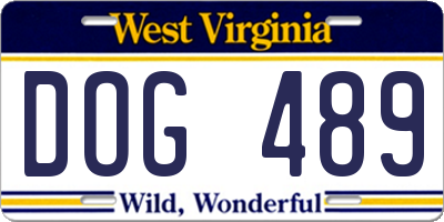 WV license plate DOG489