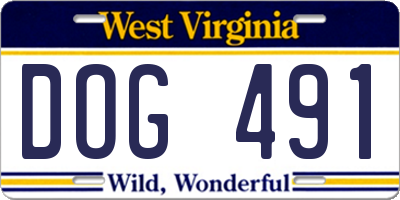 WV license plate DOG491